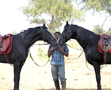 Riding in Rajasthan, India | Riding Holidays in India | Millis Potter Travel