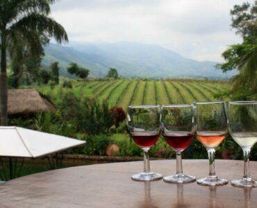 Wine Tasting in Burma