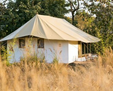 Jamtara Wilderness Camp, Pench, India, Wildlife, Safari