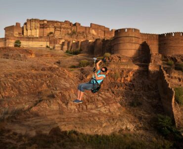 Flying Fox Jodhpur, Rajasthan, India