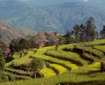 Honeymoon Trek in Nepal