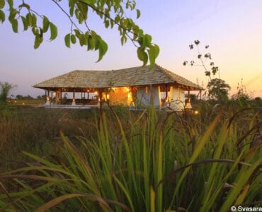 Svasara, Tadoba, India