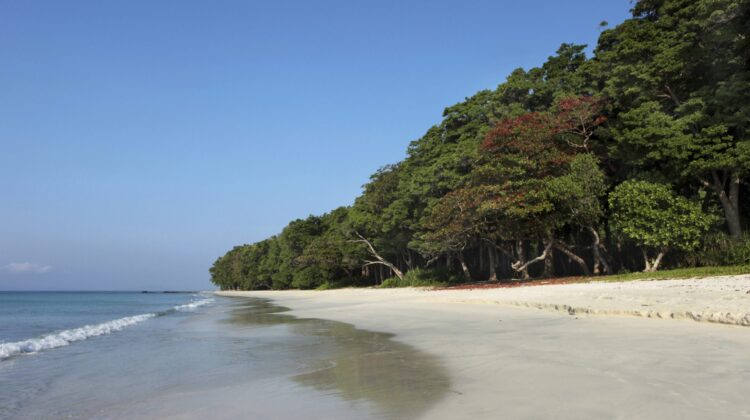 Radnagar Beach Andaman Islands Taj Exotica and Spa Millis Potter, Taj Exotica & Spa Andaman Islands