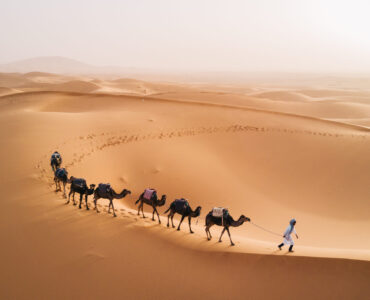 Camel Ride in the Sahara